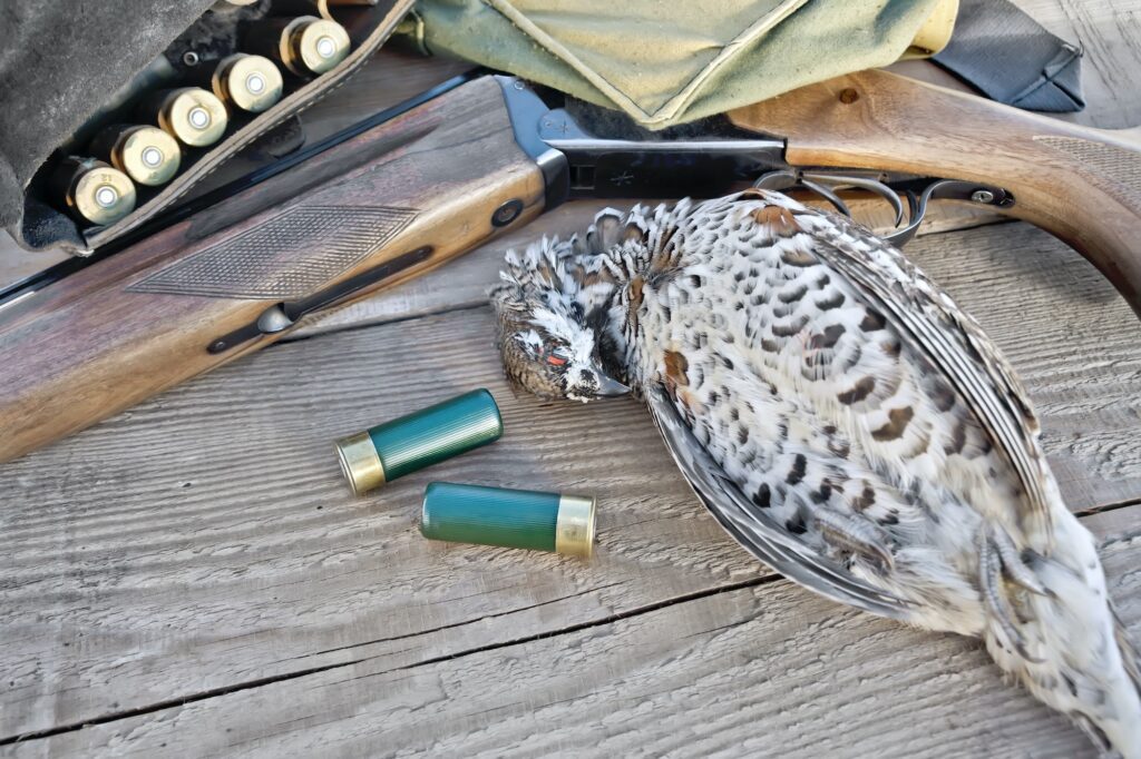 Grouse and gun on board