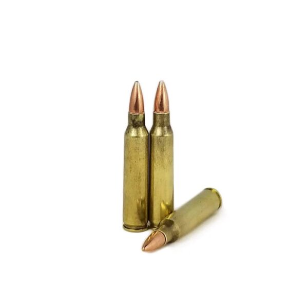 223 Remington - 55 GR - Defender - 1000 Rounds - Image 3